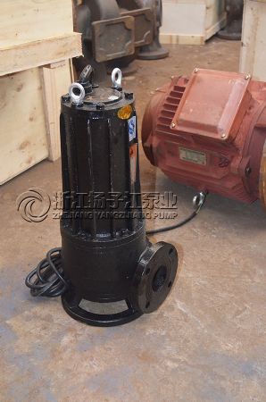 AS/AV型撕裂潛水排（pái）汙泵