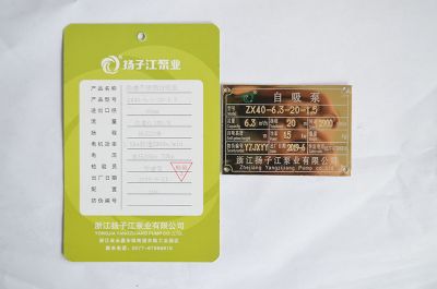 ZX40-6.3-20-1.5自（zì）吸泵