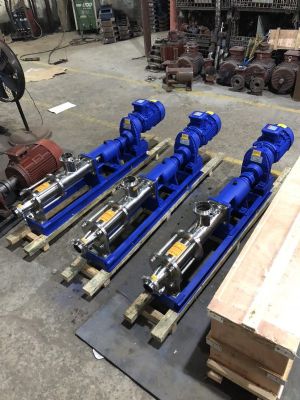 G型不鏽（xiù）鋼單螺（luó）杆泵配齒輪減速（sù）電（diàn）機