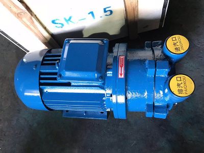 SK-0.15水環式真空泵（bèng）